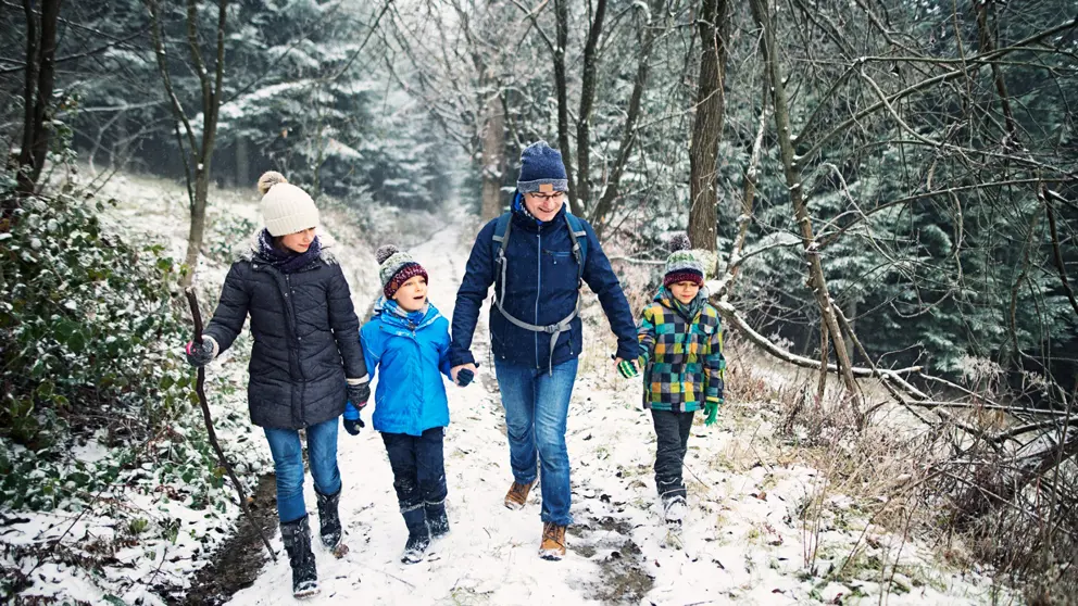 Père avec enfants, randonnée dans une forêt