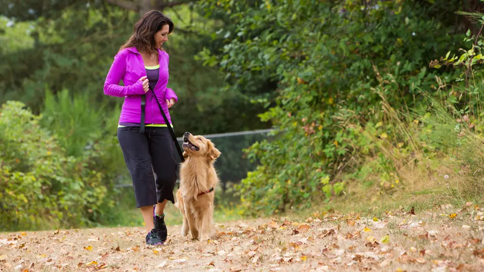 Femme qui promène son chien dans le parc